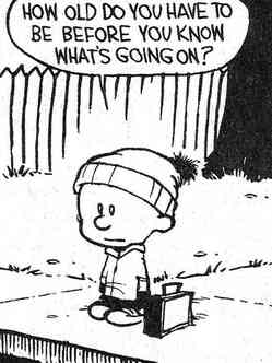 I grew up on Calvin and Hobbes. I think I've read every strip.